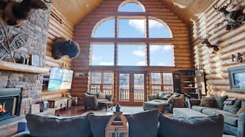 TV connectée, cheminée, lecteur de DVD, livres