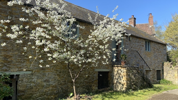 A stone building with a small tree in front. - Beautiful Barn Conversion With Wood-burning Stove (Yeovil)