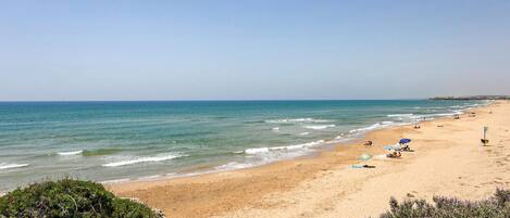 Beach nearby, fishing