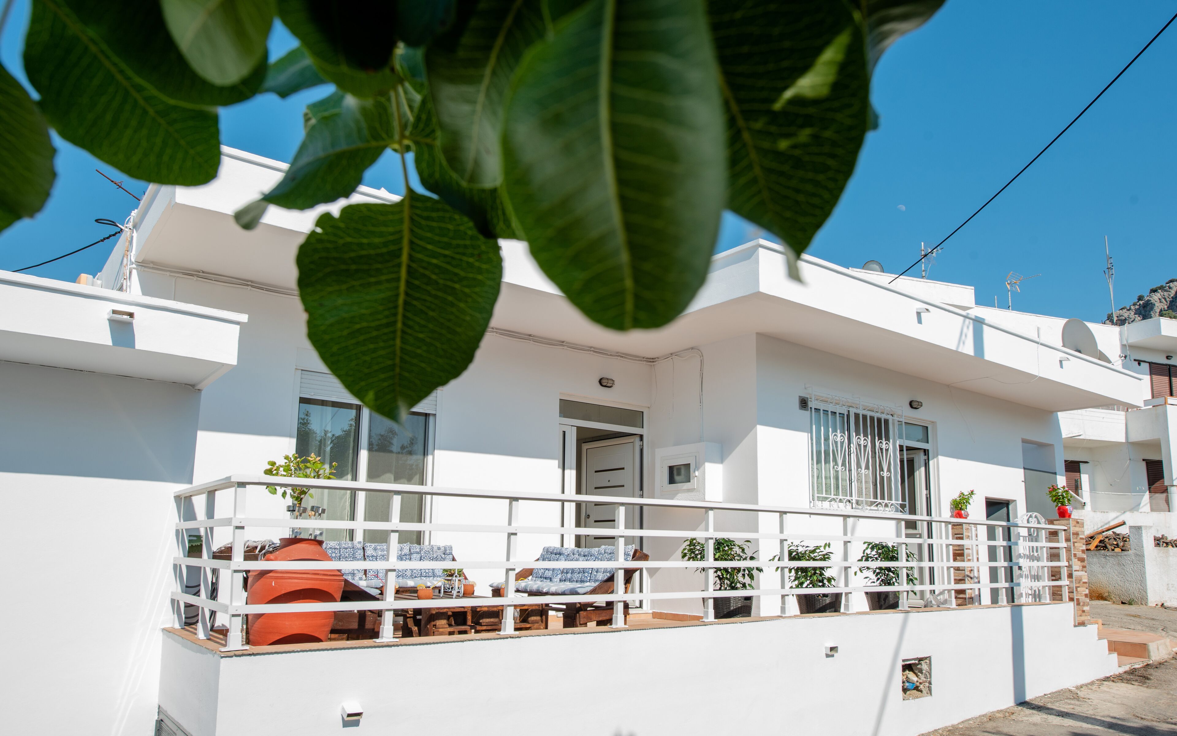 独立别墅 | 外观