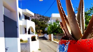Vista de una calle con un edificio blanco, una maceta roja con una planta de aloe vera y un cielo azul despejado.