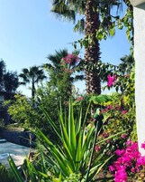 Estacionamiento gratis