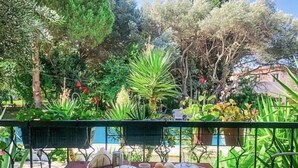 A table set outdoors with plates, glasses, and food, surrounded by lush greenery and trees. - Urla Bella  (Urla)