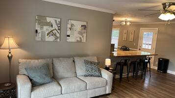 Smart TV, fireplace, books