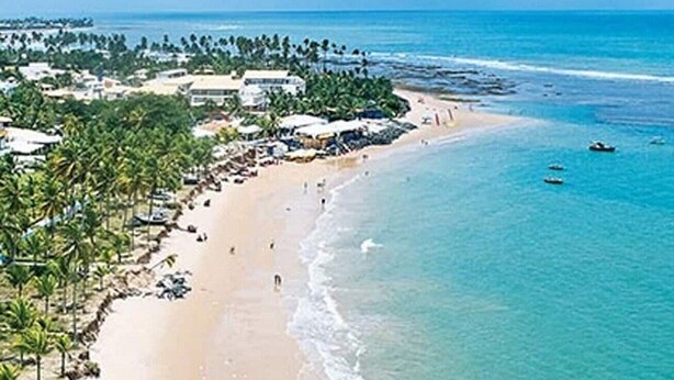 Una playa con aguas turquesas cristalinas, una orilla arenosa y una hilera de palmeras.
