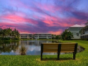 Property grounds - Tropical Paradise - Resort Style Pool - Private Elevator (Placida)