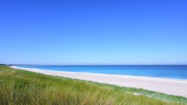 Ein Strand mit blauem Himmel und einem Sandweg.