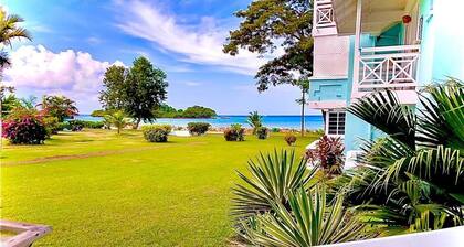 African 1 bedroom Ocean View Steps away from the beach