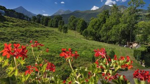 Un paysage verdoyant et luxuriant, avec une chaîne de montagnes en arrière-plan, un ciel dégagé et une petite construction surmontée d’un toit.