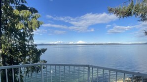 A balcony with a view of a calm lake, surrounded by trees and a clear sky.