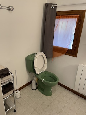 Regadera, toallas, papel de baño