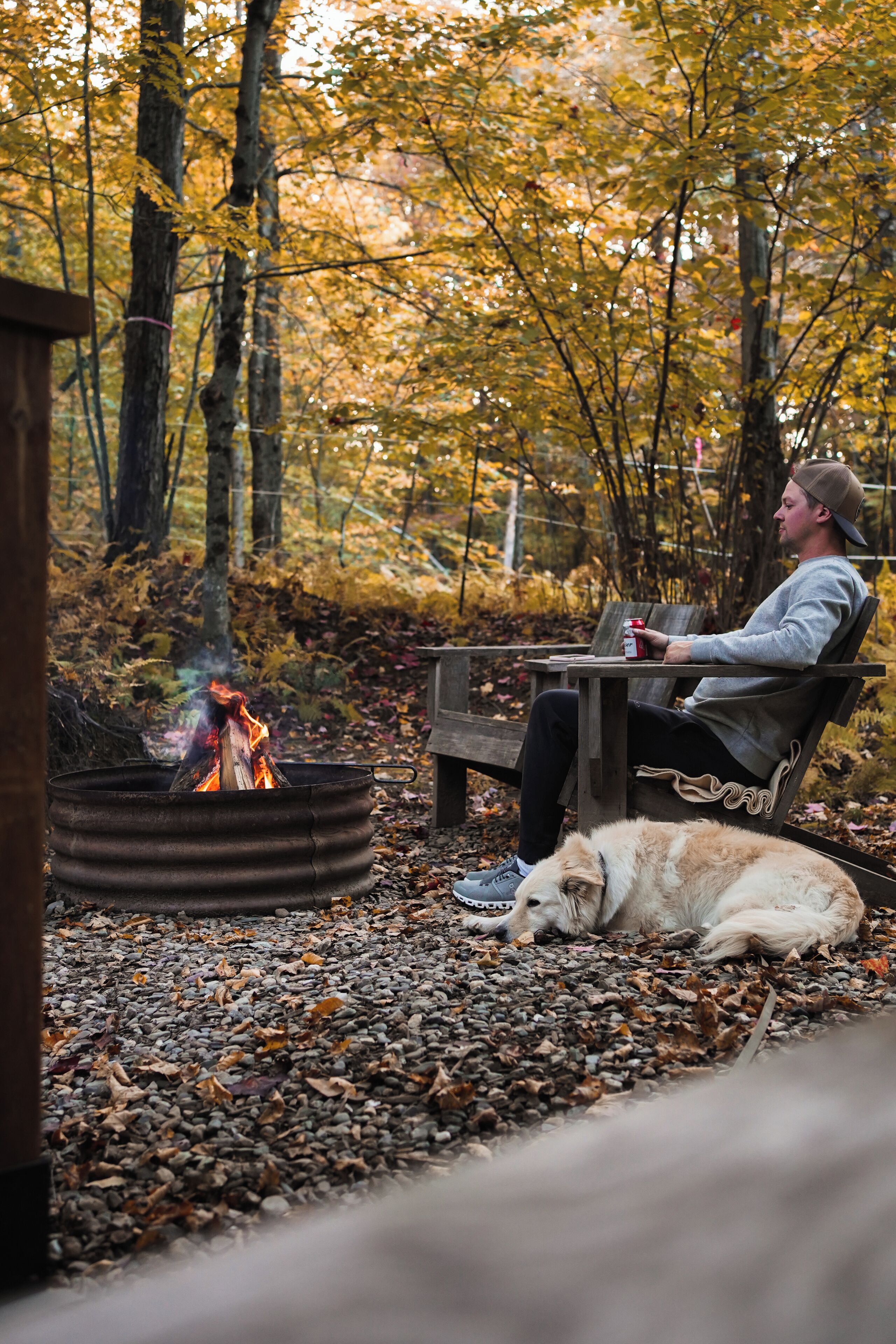 A person sitting by a campfire in a forested area with a dog lying nearby.