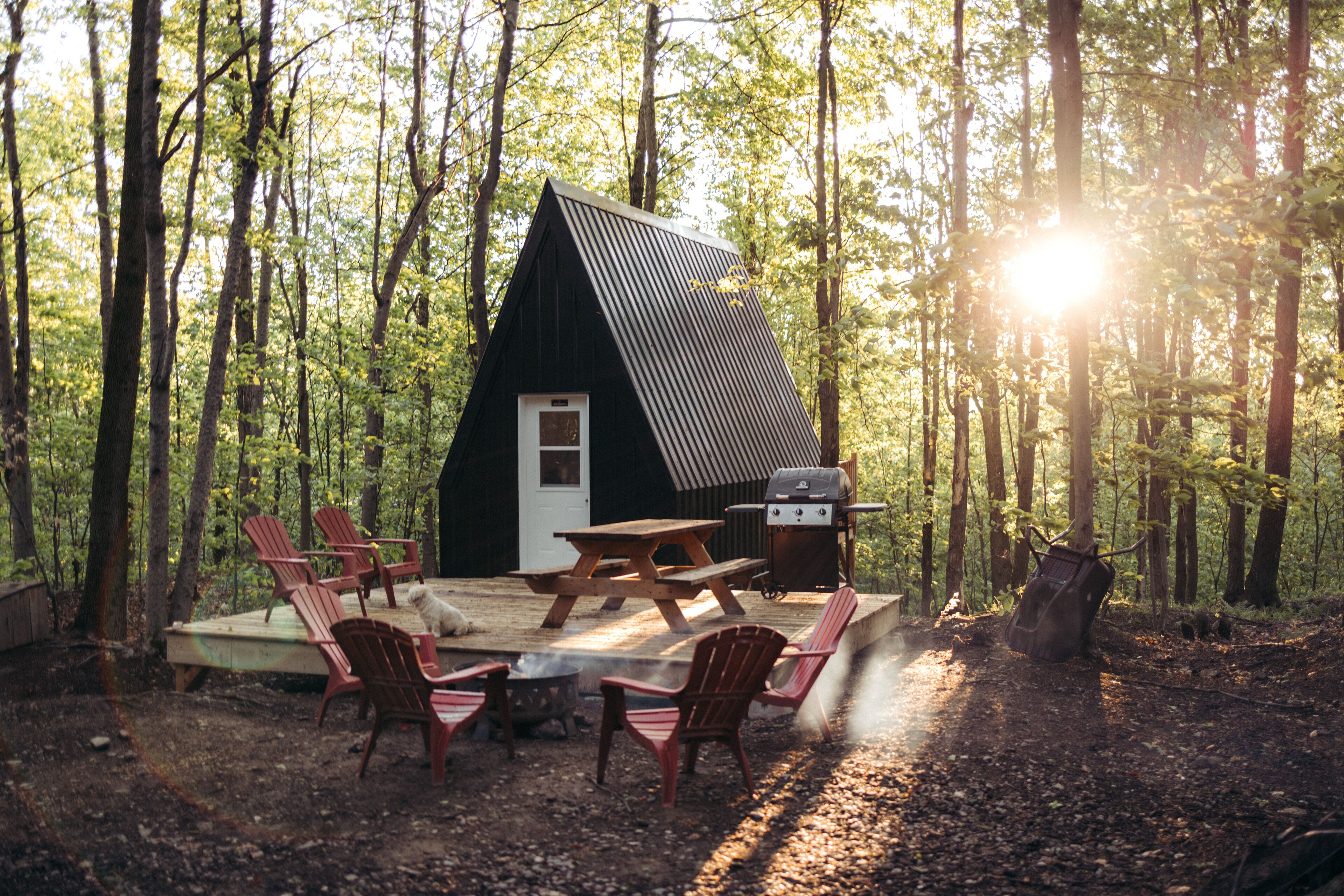 Une cabane avec une table de pique-nique et des chaises, entourée d’une forêt.