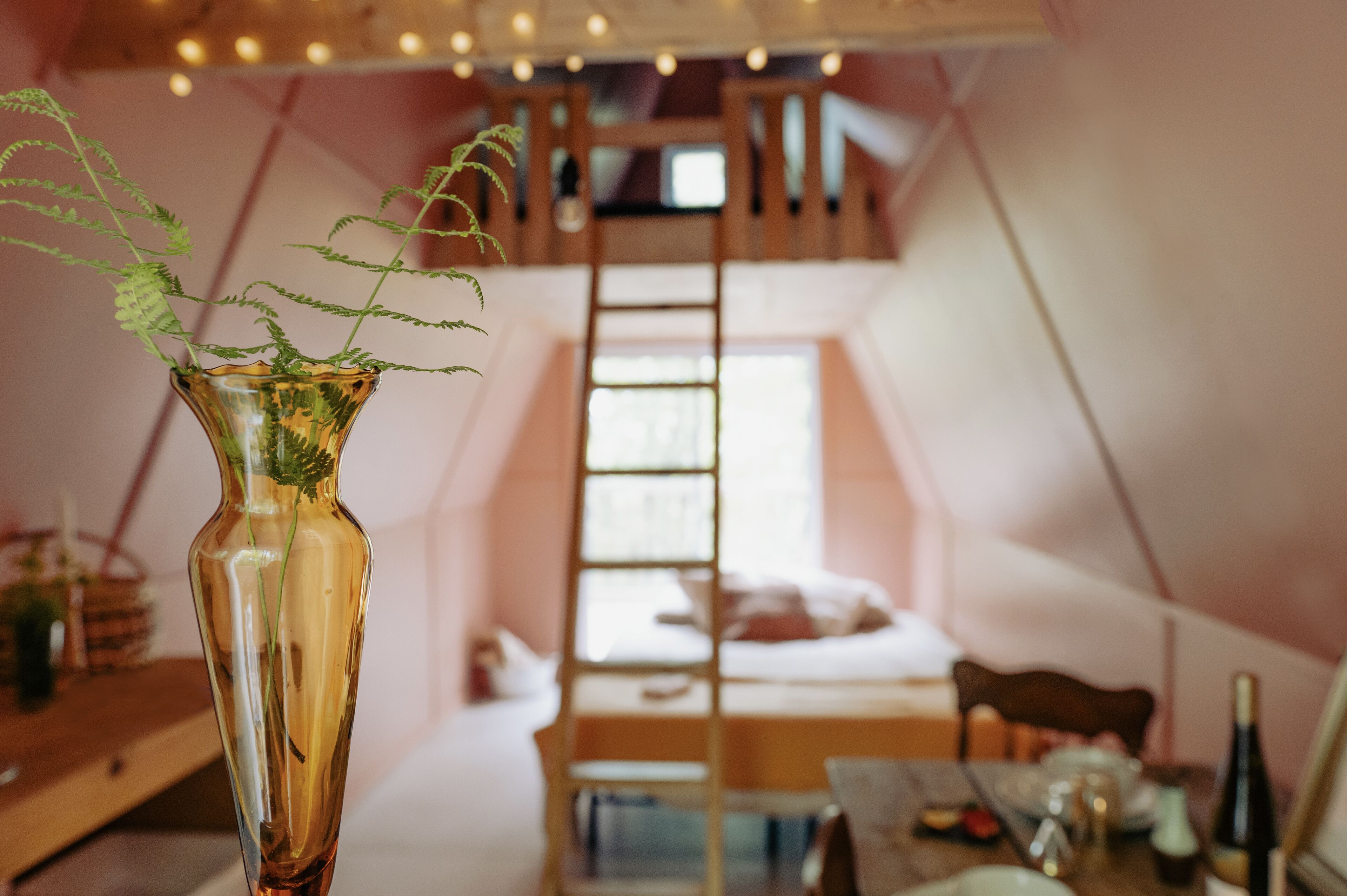 A cozy room with a loft bed, a ladder, a wooden desk, and a vase with a plant.
