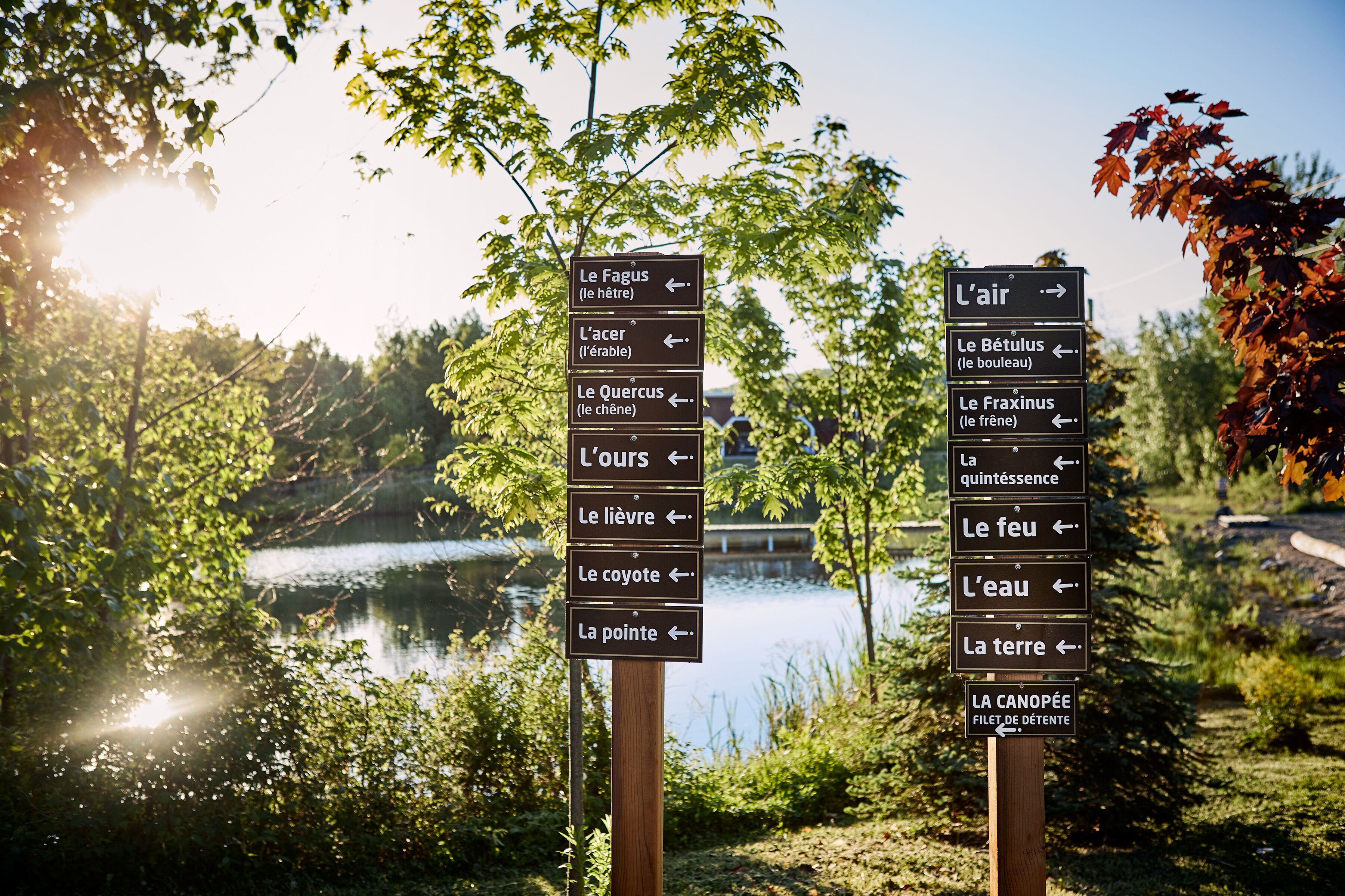 Two directional signs with multiple destination labels, set against a backdrop of a lake and trees, with sunlight filtering through.
