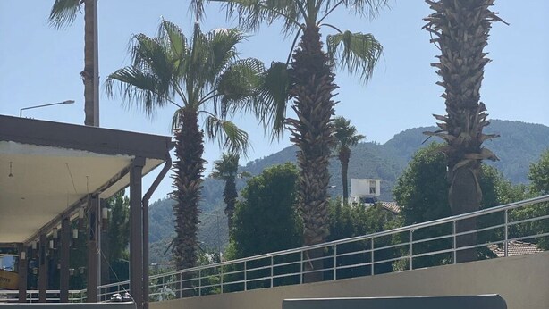 A pool area with palm trees and a mountain backdrop. - Astoria Life Hotel (Marmaris)