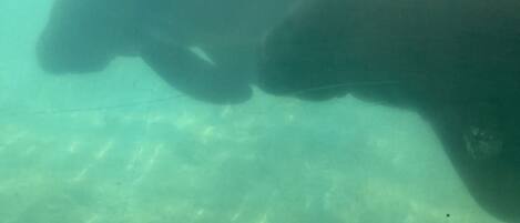 Terrain de l’hébergement