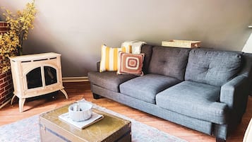 TV, fireplace, DVD player, books