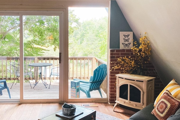 Televisor, llar de foc, reproductor de DVD i llibres