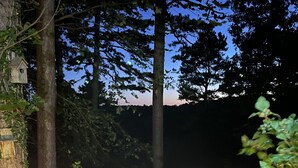 A wooden deck with string lights, surrounded by trees and a birdhouse.