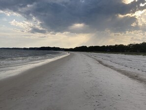 A beach with a sandy shore and a line of trees in the background.