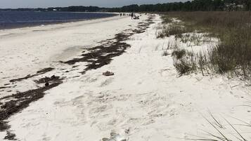 Beach nearby, sun loungers