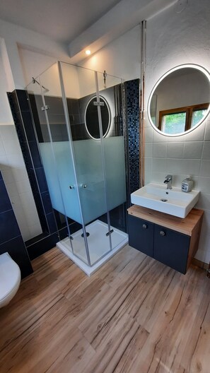Shower, hair dryer, soap, toilet paper