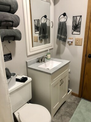 Combined shower/tub, hair dryer, towels, soap