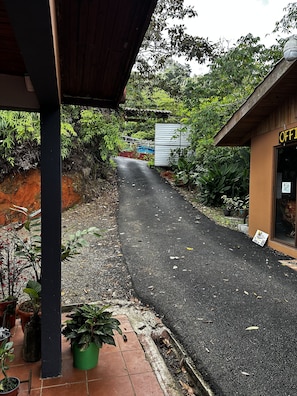 Stroll through lush gardens to the serene office building.