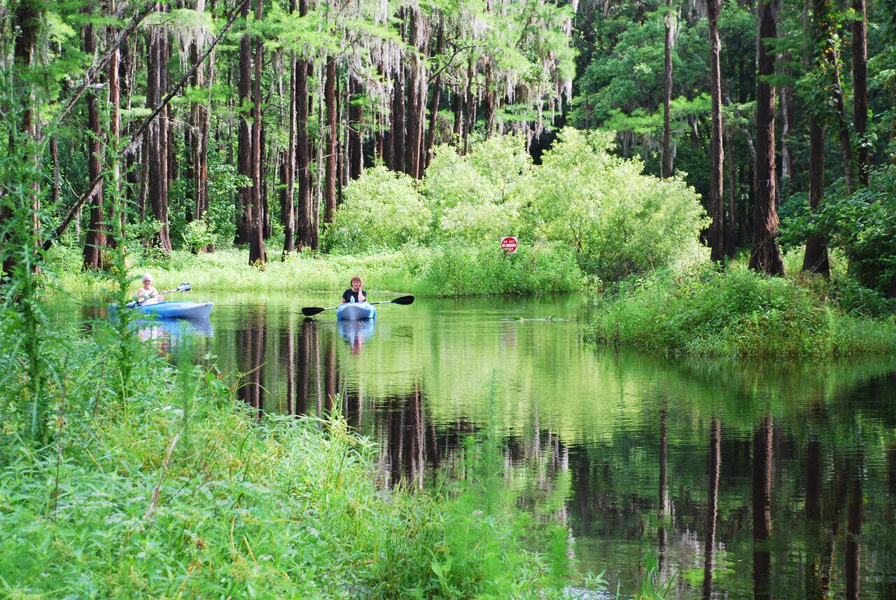 Ein ruhiger Fluss mit Kajaks und einer paddelnden Person, umgeben von dichtem Wald.