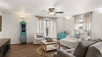 Smart TV, fireplace, DVD player, books