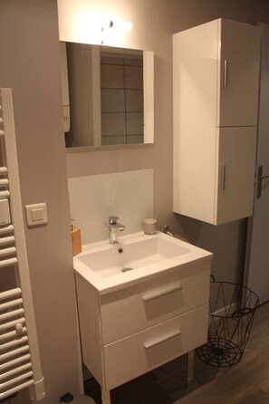 Shower, hair dryer, soap, toilet paper