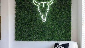 Une pièce avec un canapé blanc, un plaid à motifs et une décoration murale représentant une tête de taureau au néon.