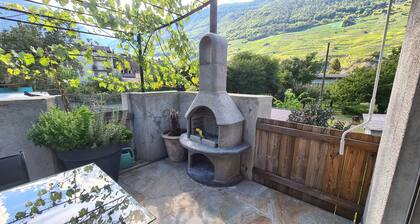 Beautiful city duplex with large terrace and private park