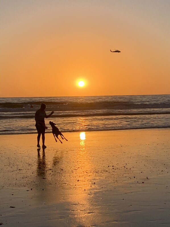 Playa en los alrededores 