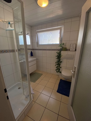 Douche, séchoir à cheveux, serviettes fournies, savon