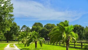 A paved path leading through a grassy area with palm trees and a wooden fence. - With tree house, Surprising Tropical-style resort (St. Cloud)