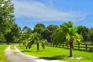 A paved path leading through a grassy area with palm trees and a wooden fence. - With tree house, Surprising Tropical-style resort (St. Cloud)