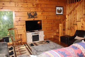 TV, fireplace, DVD player, books