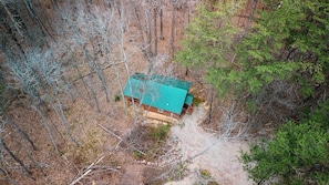 A cabin with a green roof surrounded by trees.