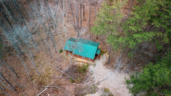 Une cabane surmontée d’un toit végétalisé, entourée d’arbres.