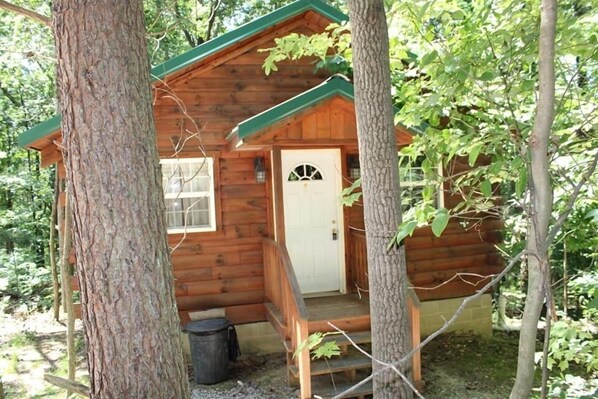 A wooden cabin with a green roof, a front door, and a small porch.
