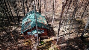 A cabin surrounded by trees.