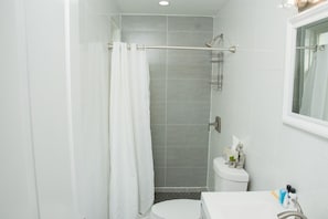 Combined shower/bathtub, hair dryer, bidet, towels - The Palace Cozy Self-Contained Unit in St. Albans (Queens)