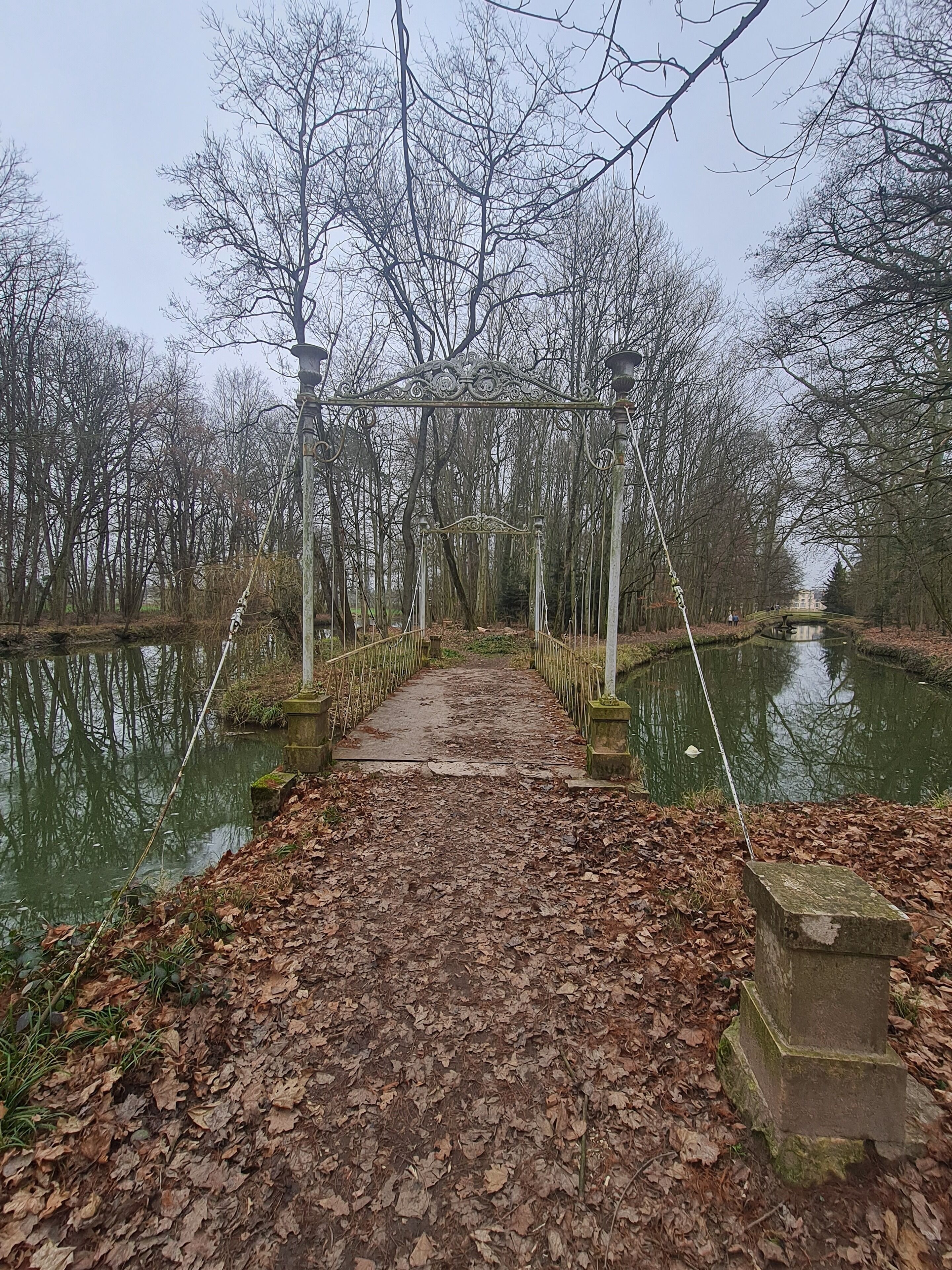 Un puente de madera rústico sobre un río tranquilo, rodeado de suelo cubierto de hojas y árboles desprovistos de follaje.