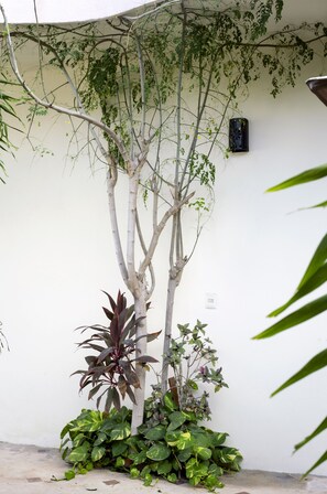 Garden - hotel stella maris tulum (Tulum)