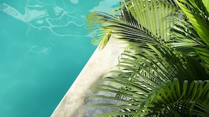 Una piscina con agua azul cristalina, rodeada por un borde de hormigón y exuberantes plantas de palma.