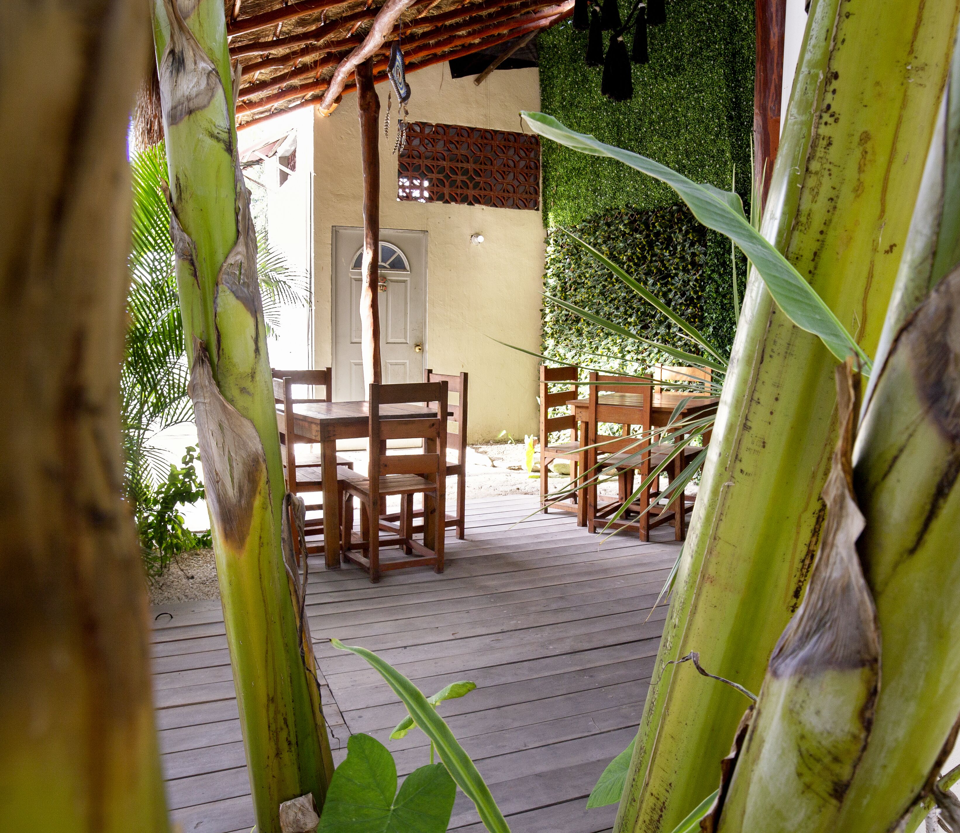 Foto - hotel stella maris tulum