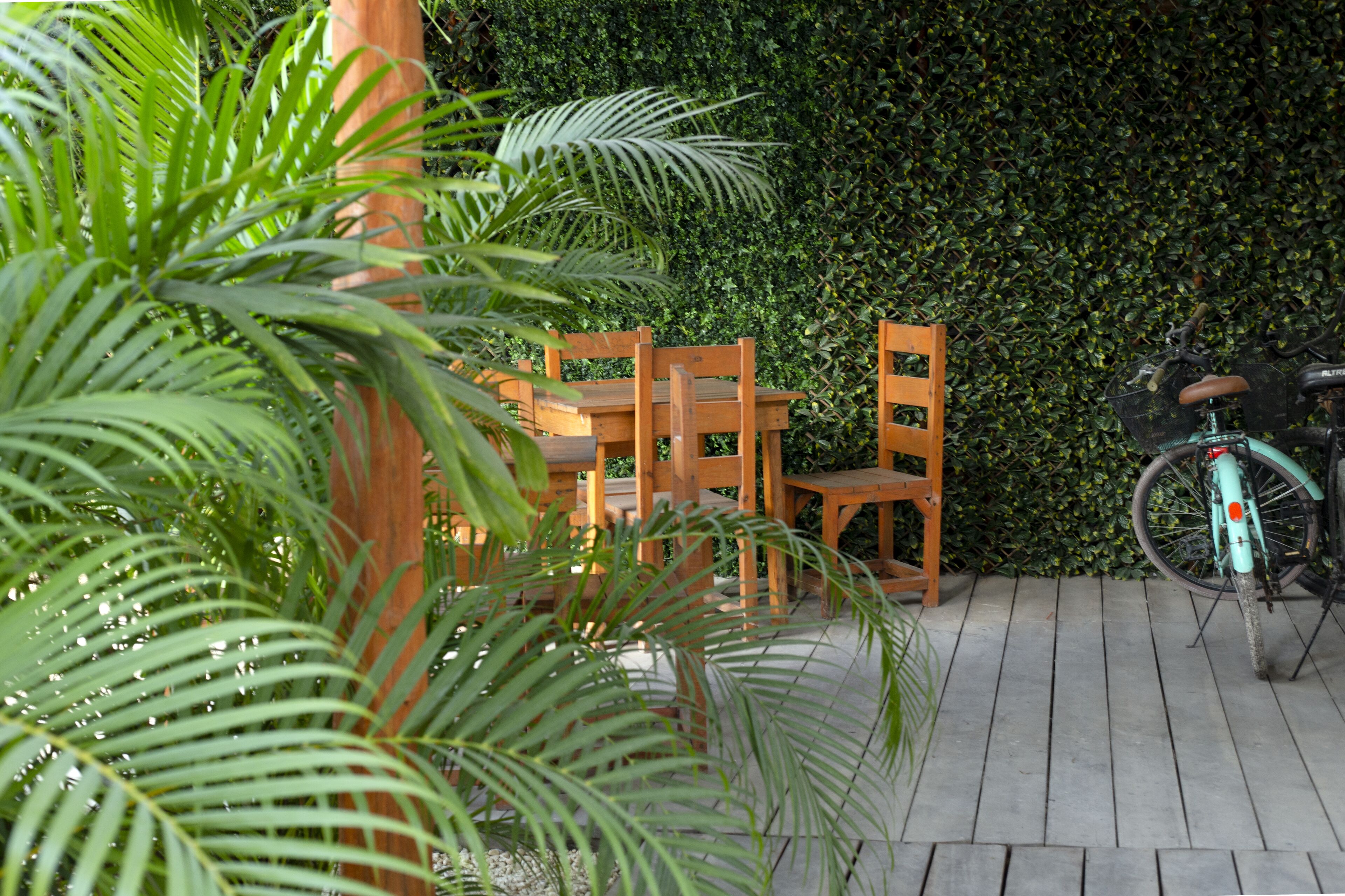 Foto - hotel stella maris tulum