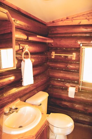 Shower - The Walleye - Early 1900s 2 Bedroom Log Cabin (Hines)